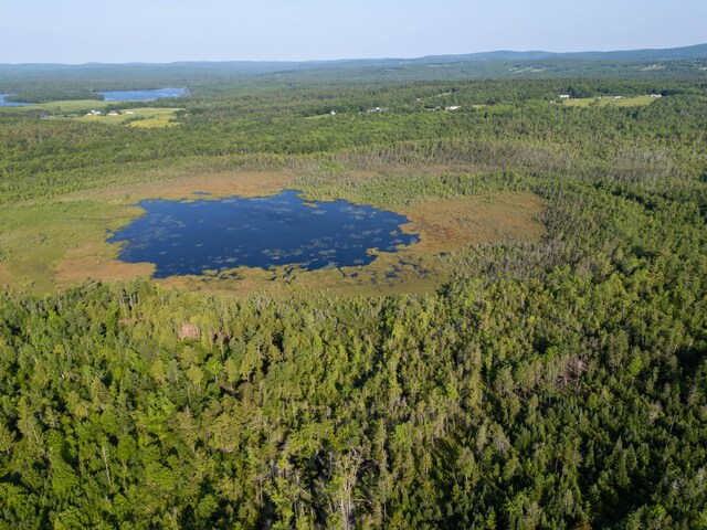 26 Brown Rd, Morrill, ME 04952 - photo 21