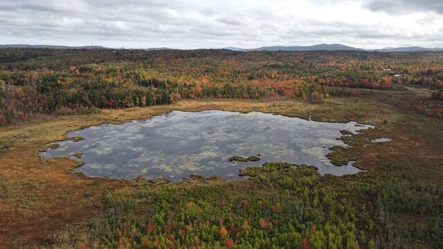 26 Brown Rd, Morrill, ME 04952 - photo 22