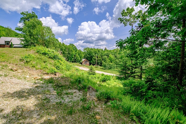 309A Cushman Rd, Woodstock, ME 04219 - view of wooded area