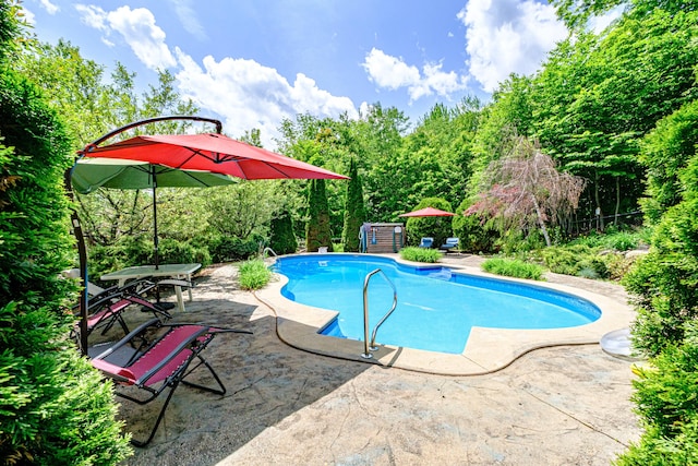 309A Cushman Rd, Woodstock, ME 04219 - outdoor pool with a patio area and a storage unit