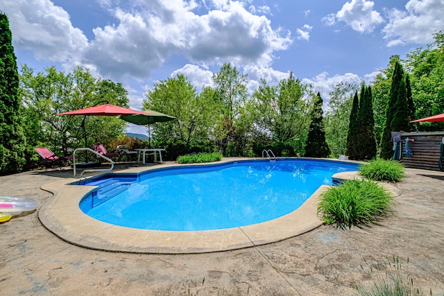 309A Cushman Rd, Woodstock, ME 04219 - outdoor pool with a patio area and view of wooded area