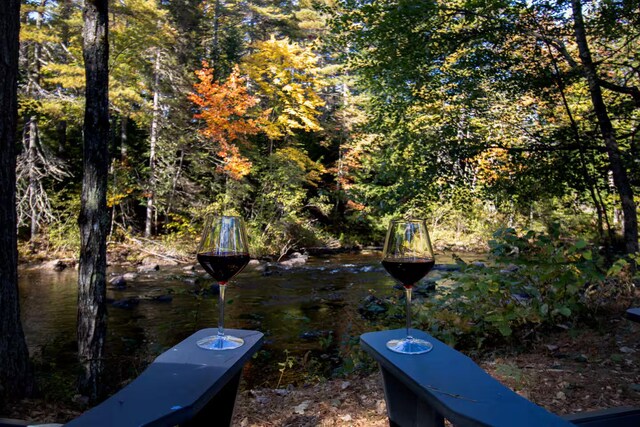 1080 Norway Rd, Harrison, ME 04040 - photo 22