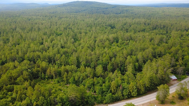 1080 Norway Rd, Harrison, ME 04040 - photo 34
