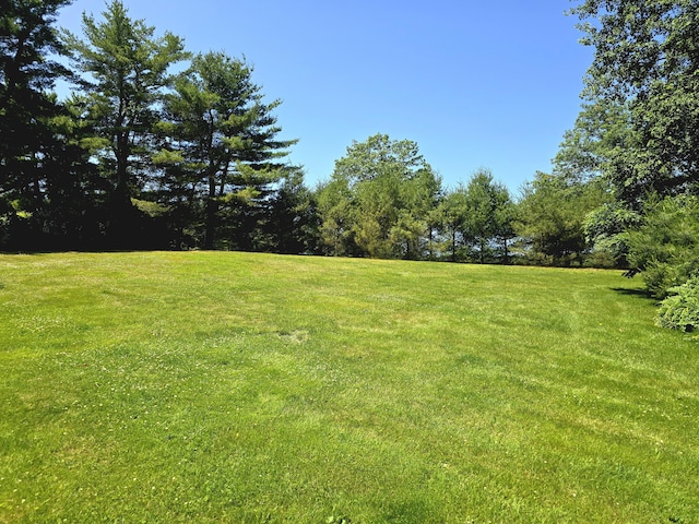 135 Hotel Rd, Auburn, ME 04210 - view of green lawn