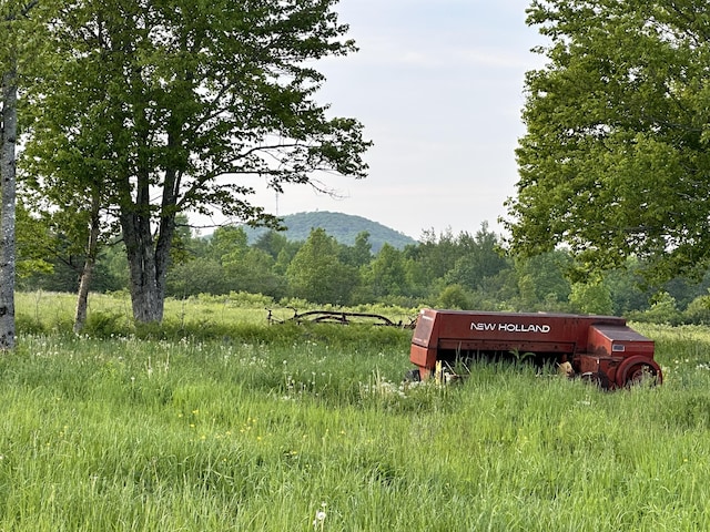 754 US Route 1, Weston, ME 04424 - mountain view with a forest