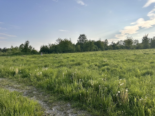 754 US Route 1, Weston, ME 04424 - view of nature with rural landscape
