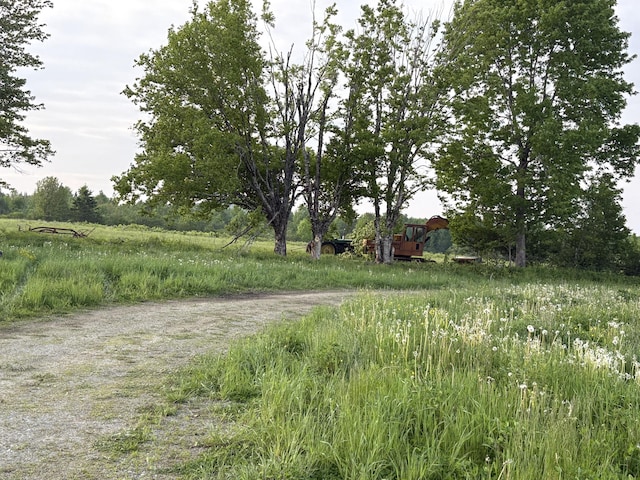 754 US Route 1, Weston, ME 04424 - view of yard