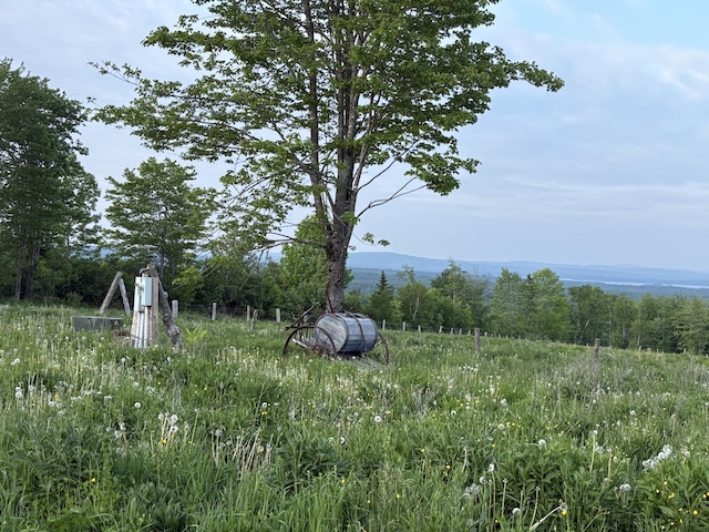 754 US Route 1, Weston, ME 04424 - view of yard featuring a view of trees
