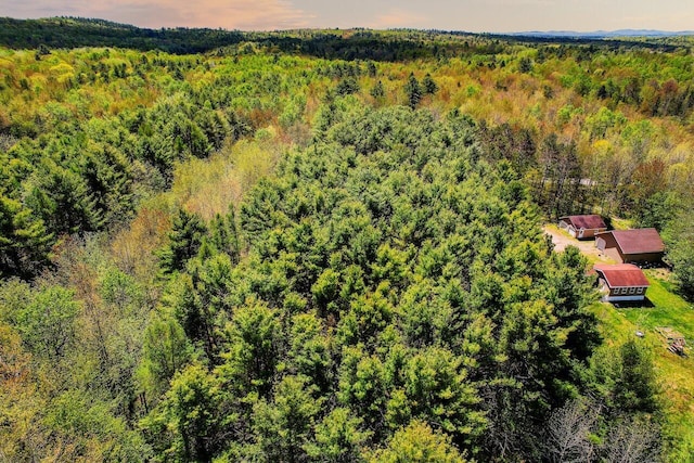 LOT1B Harriman Rd, Swanville, ME 04915 - photo 3