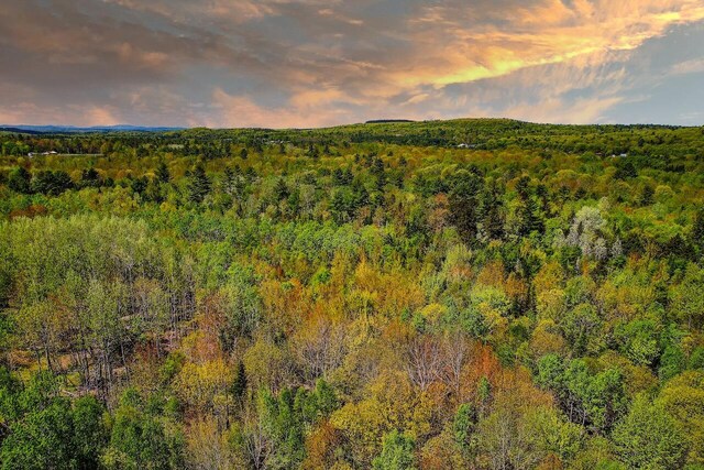 LOT1B Harriman Rd, Swanville, ME 04915 - photo 4