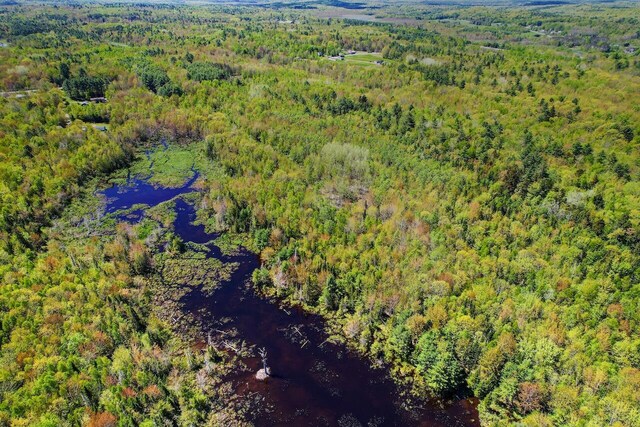 LOT1B Harriman Rd, Swanville, ME 04915 - photo 5