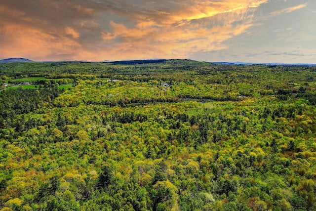 LOT1B Harriman Rd, Swanville, ME 04915 - photo 6