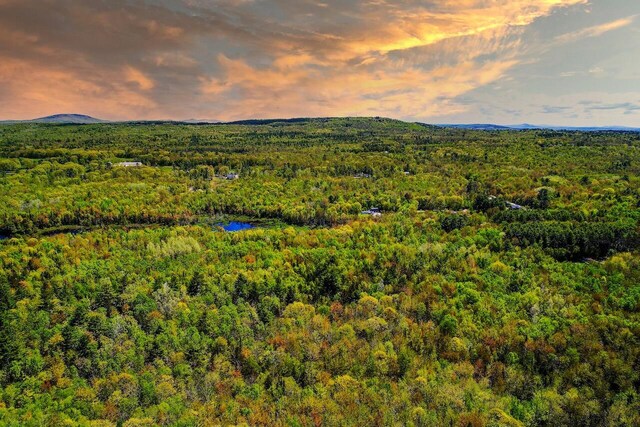LOT1B Harriman Rd, Swanville, ME 04915 - photo 7
