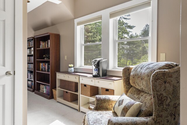 11 Everett Dow Dr, Woolwich, ME 04579 - sitting room featuring carpet