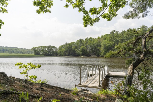 11 Everett Dow Dr, Woolwich, ME 04579 - dock area featuring a water view and a view of trees