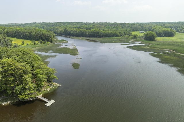 11 Everett Dow Dr, Woolwich, ME 04579 - water view featuring a forest