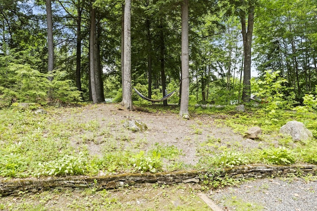 8 N Lakeview Dr, Litchfield, ME 04350 - view of nature