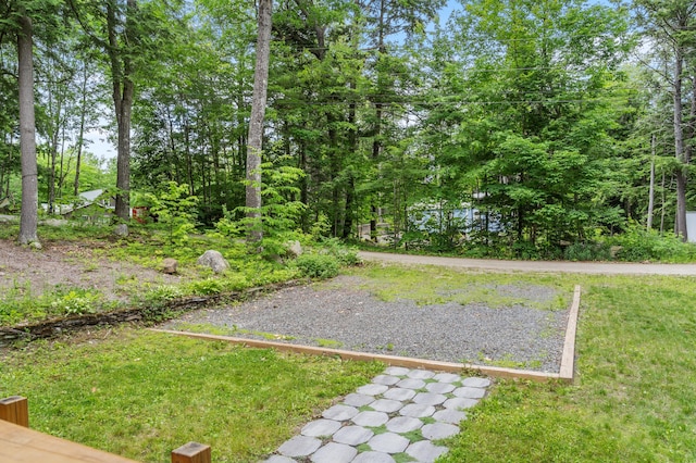 8 N Lakeview Dr, Litchfield, ME 04350 - view of green lawn