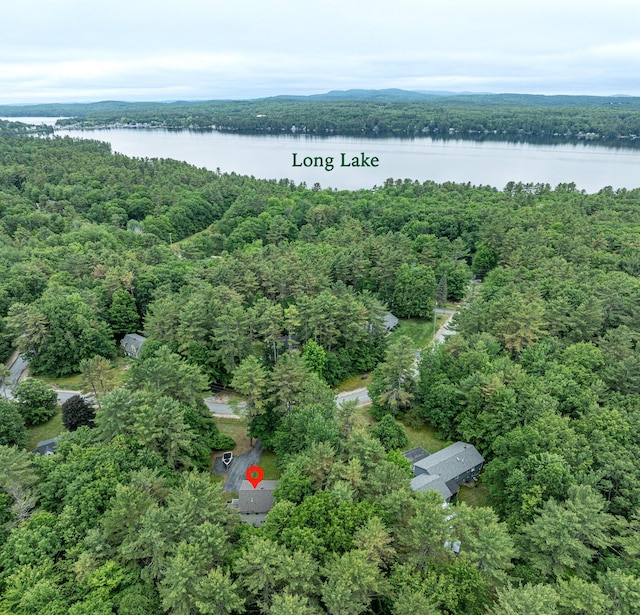 11 Monroe Dr, Naples, ME 04055 - photo 2
