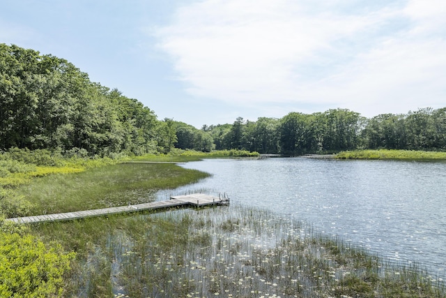 19 Fox Ln, Bremen, ME 04551 - water view featuring a dock and a forest