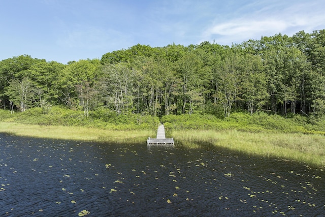 19 Fox Ln, Bremen, ME 04551 - water view featuring a boat dock and a heavily wooded area