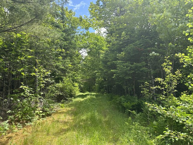1818 Industry Rd, Industry, ME 04938 - photo 10