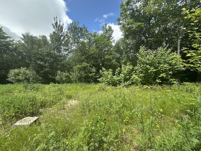 1818 Industry Rd, Industry, ME 04938 - photo 1