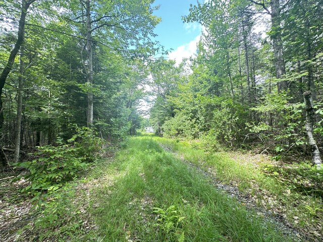 1818 Industry Rd, Industry, ME 04938 - photo 11