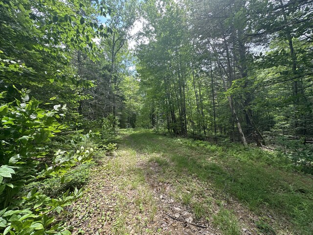 1818 Industry Rd, Industry, ME 04938 - photo 12