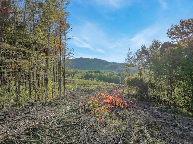 LOT2 Eaton Hill Rd, Rumford, ME 04276