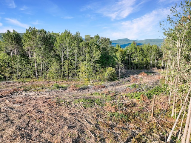 LOT2 Eaton Hill Rd, Rumford, ME 04276