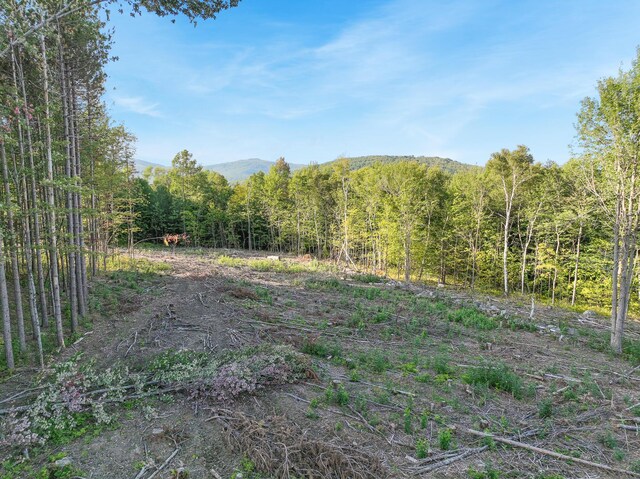 LOT2 Eaton Hill Rd, Rumford, ME 04276