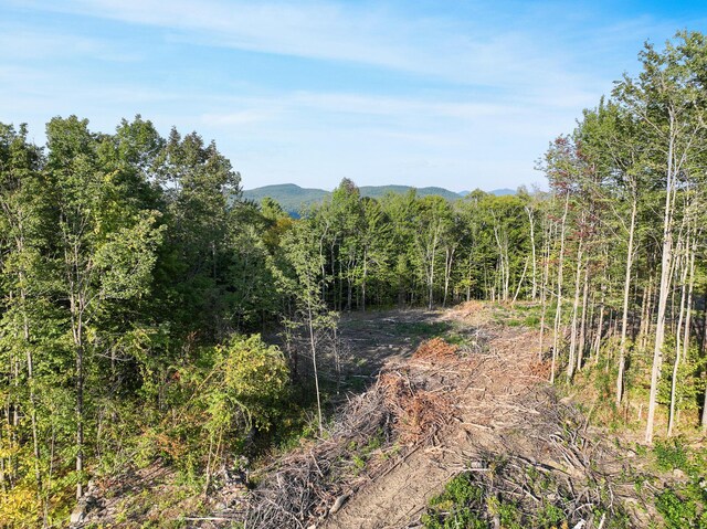 LOT2 Eaton Hill Rd, Rumford, ME 04276