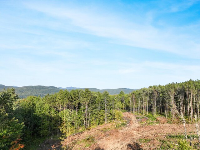 LOT2 Eaton Hill Rd, Rumford, ME 04276