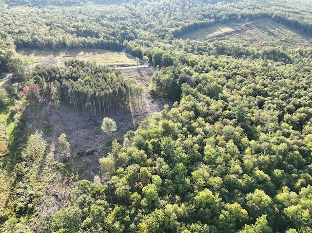 LOT2 Eaton Hill Rd, Rumford, ME 04276