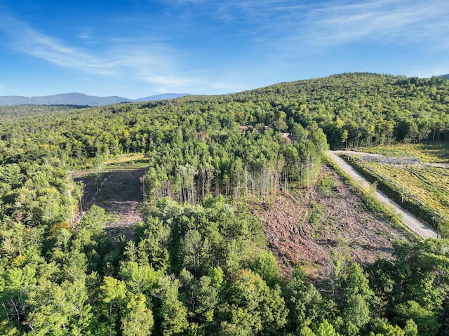LOT2 Eaton Hill Rd, Rumford, ME 04276