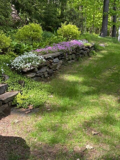 3 Fenderson Hill N, Wilton, ME 04294 - view of yard