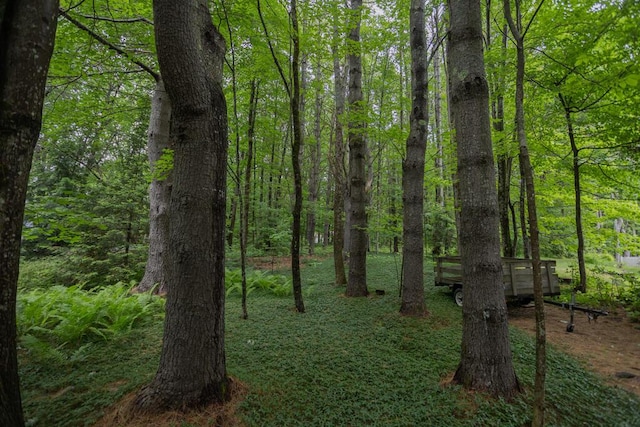 3 Fenderson Hill N, Wilton, ME 04294 - view of wooded area