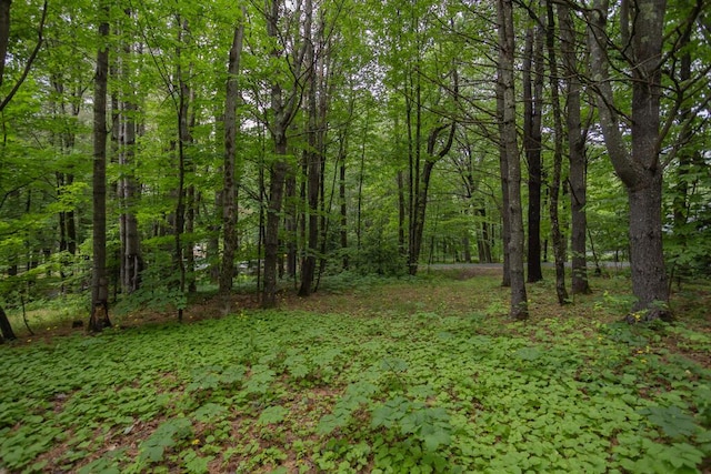 3 Fenderson Hill N, Wilton, ME 04294 - view of wooded area
