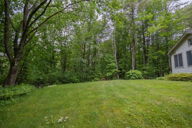 3 Fenderson Hill N, Wilton, ME 04294 - view of green lawn featuring a view of trees