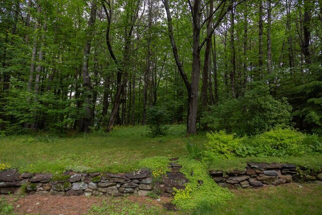 3 Fenderson Hill N, Wilton, ME 04294 - view of yard featuring a wooded view