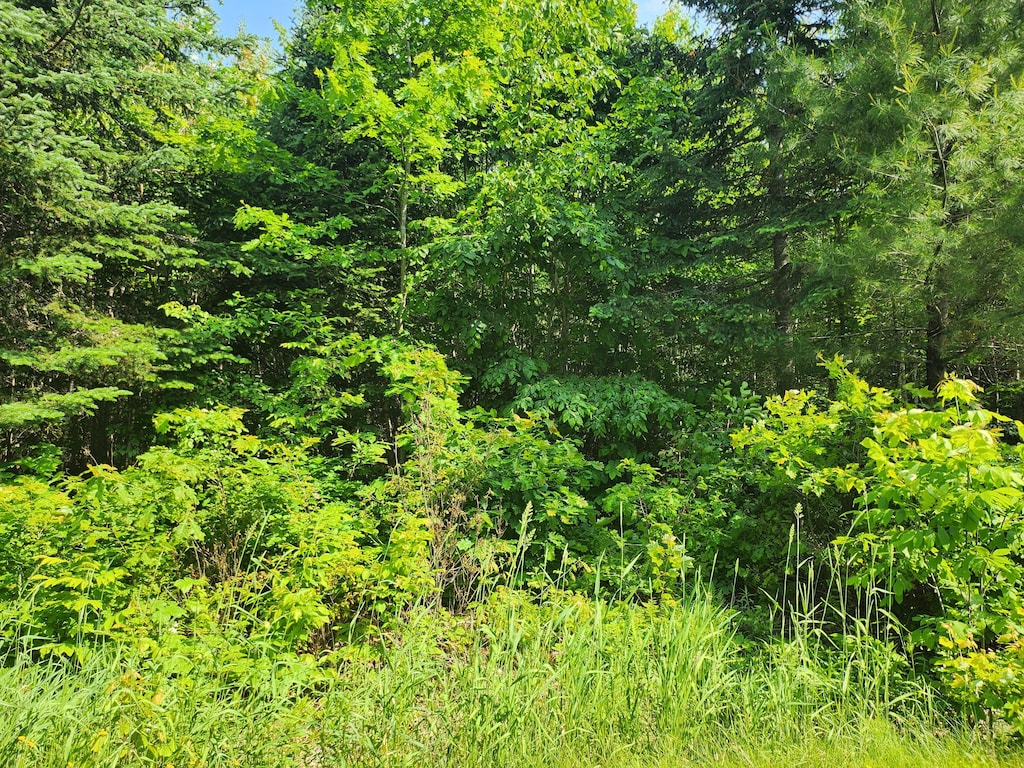 LOT29B Windfall Ln, Palmyra, ME 04965 - photo 1
