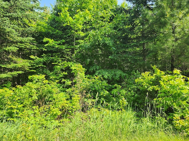 LOT29B Windfall Ln, Palmyra, ME 04965 - photo 1