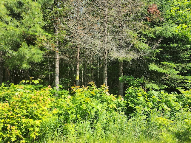 LOT29B Windfall Ln, Palmyra, ME 04965 - photo 2