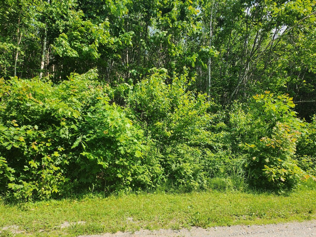 LOT29B Windfall Ln, Palmyra, ME 04965 - photo 3