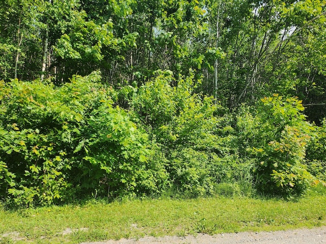 LOT29B Windfall Ln, Palmyra, ME 04965 - photo 3