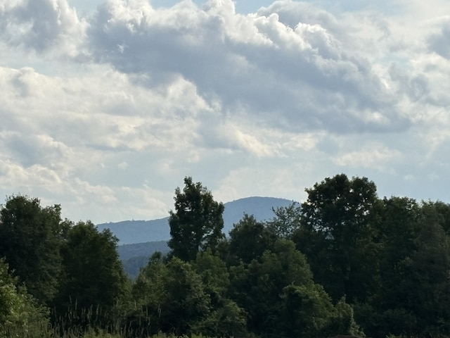 440 Temple Rd, Wilton, ME 04294 - view of mountain backdrop with a heavily wooded area