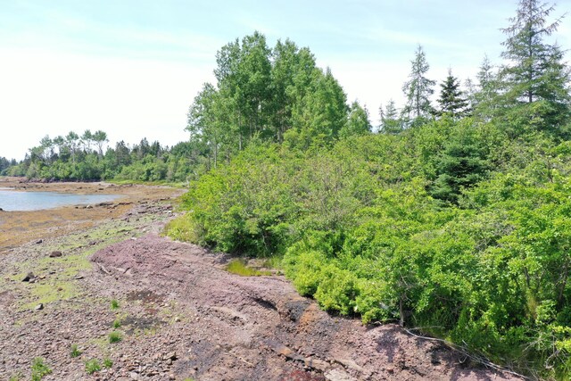 M2L15-007 Cannon Hill Rd, Perry, ME 04667