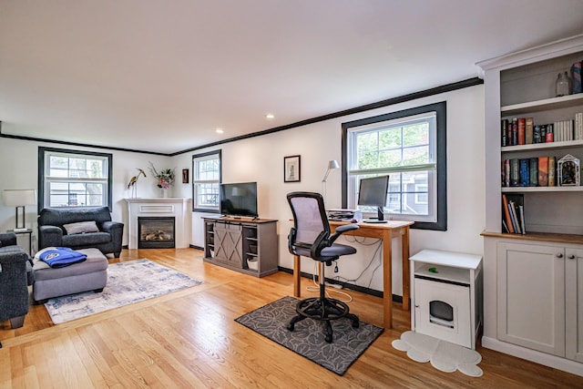 51 Burwell Ave, South Portland, ME 04106 - home office with ornamental molding, light wood-style flooring, plenty of natural light, and a glass covered fireplace