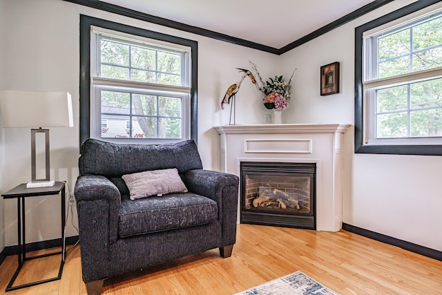 51 Burwell Ave, South Portland, ME 04106 - sitting room featuring light wood-style floors, plenty of natural light, ornamental molding, and a glass covered fireplace